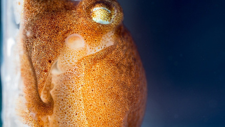 RS3425_RS2129_20170227-P2270500.jpg 1