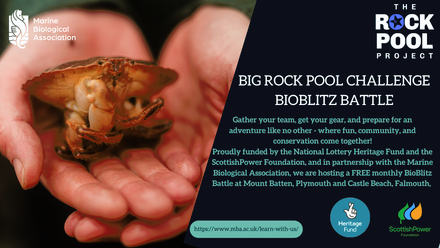 new bioblitz banner.png