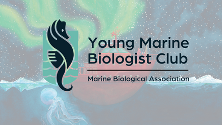 Young Marine Biologist Club 2023 (1).png