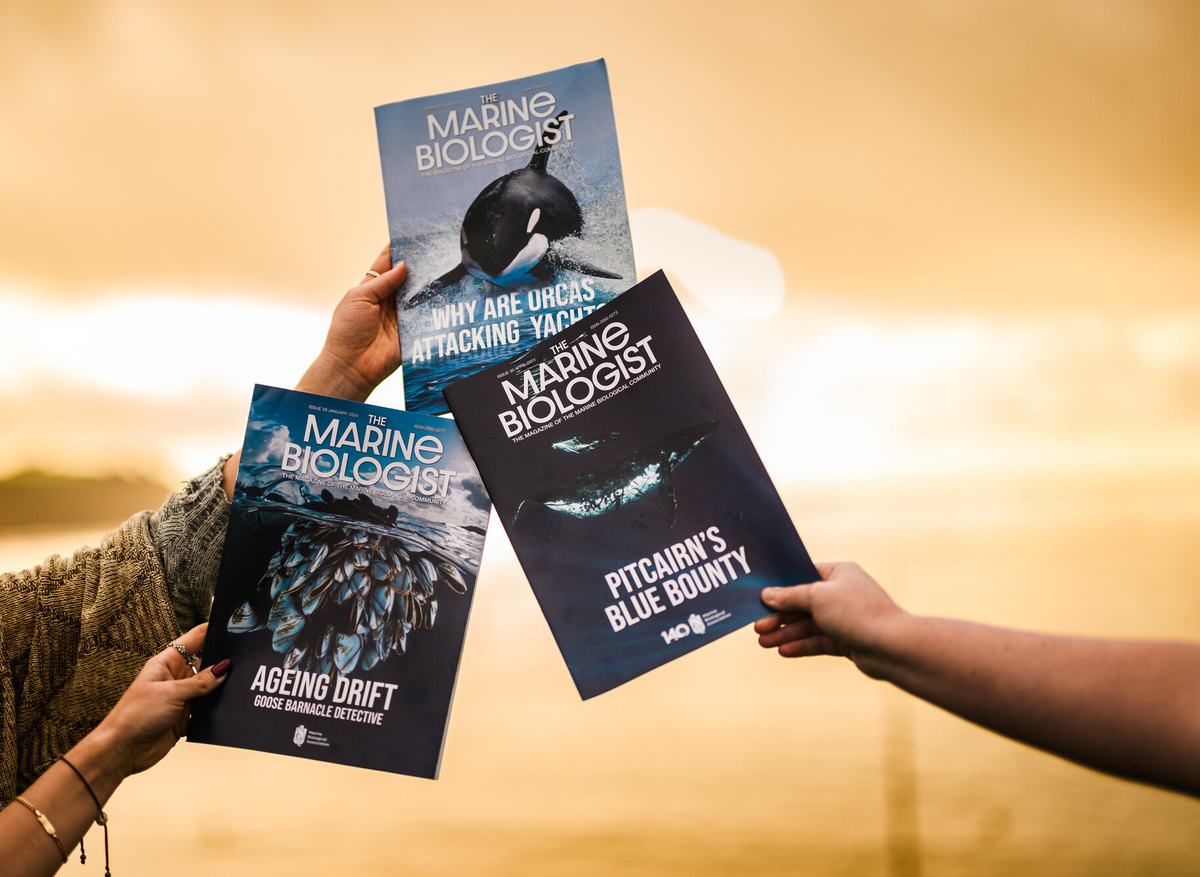 The Marine Biologist Magazine