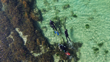 Snorkling. Photo credit Chris Fletcher..jpg 2