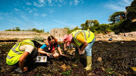 The Rock Pool Project-5434.jpg