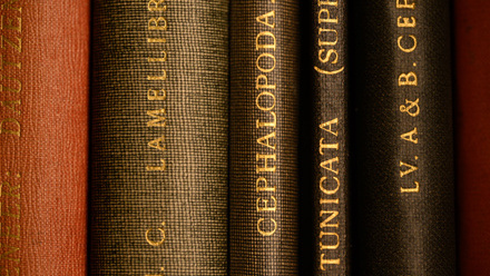 Library books in the National Marine Biological Library