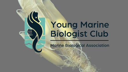 Young Marine Biologist Club 2023 (28).png