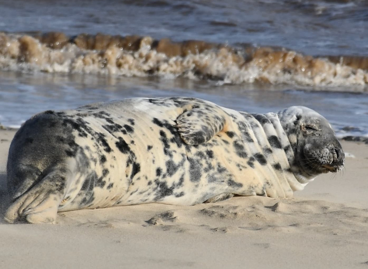 Resting in the Tides