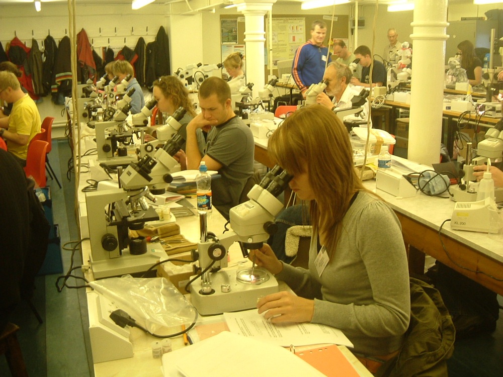 An inverts taxonomic workshop at the Dove Lab o.jpg