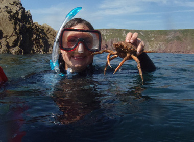 YMB member snorkelling with crab