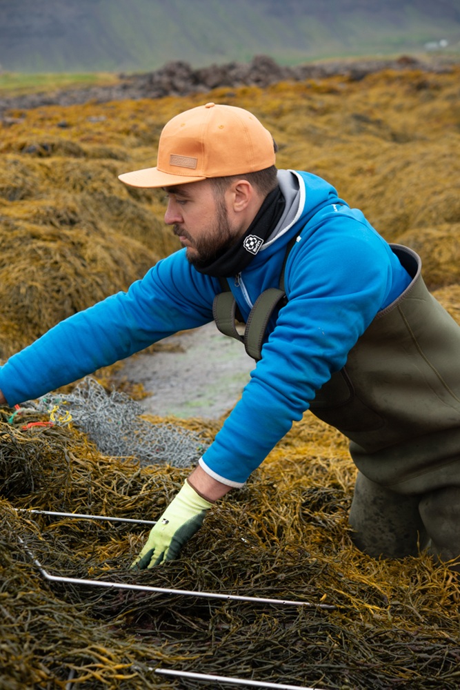 Scientist kneeling among seaweed.
