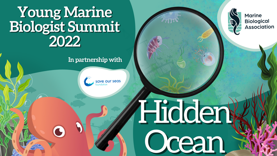 A poster for the young marine biologist summit 2022