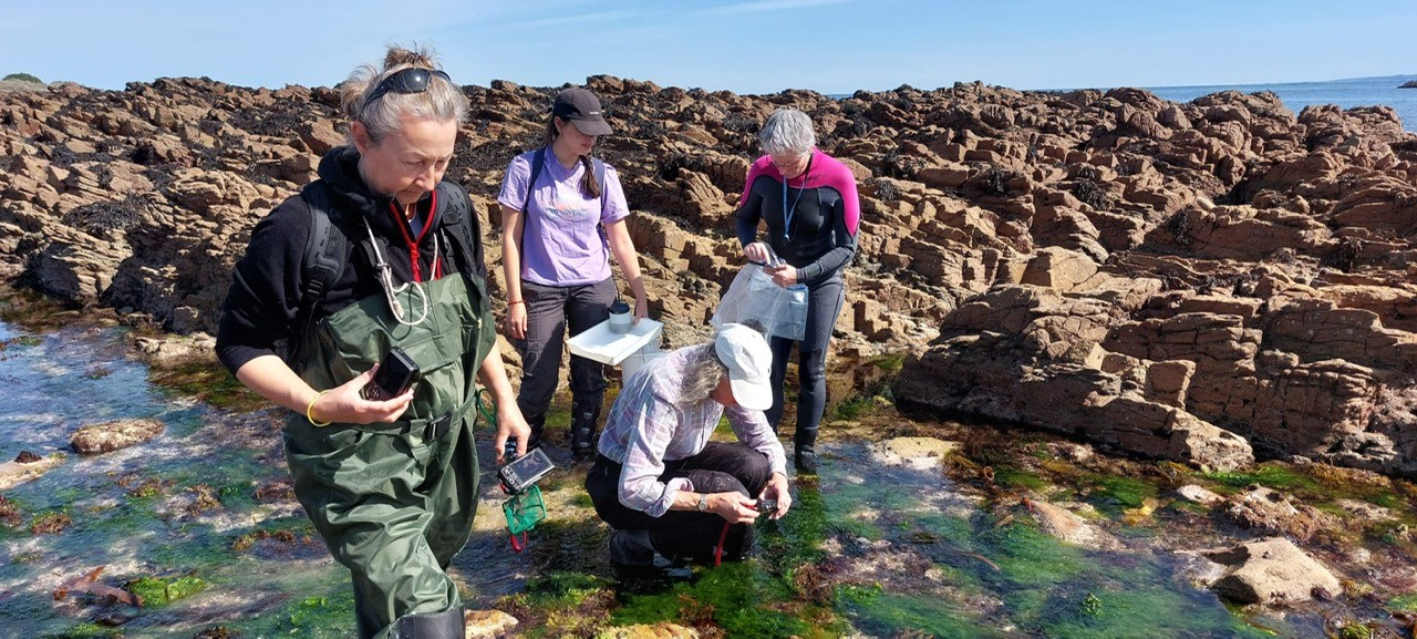 Inez Januszcak and PMNH members sampling rockpools..jpg