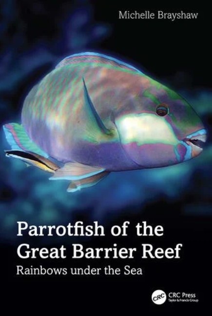 parrotfish.jpg