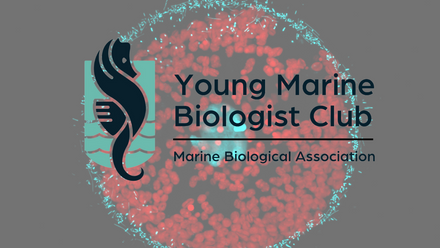 Young Marine Biologist Club 2023 (25).png