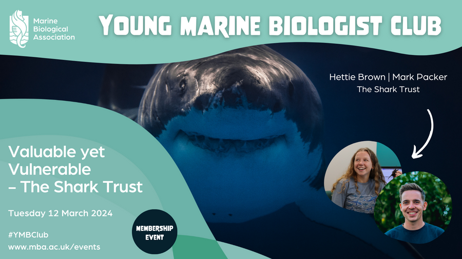 Banner for the Young Marine Biologist Club with the Shark Trust