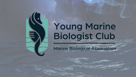 Young Marine Biologist Club 2023 (27).png