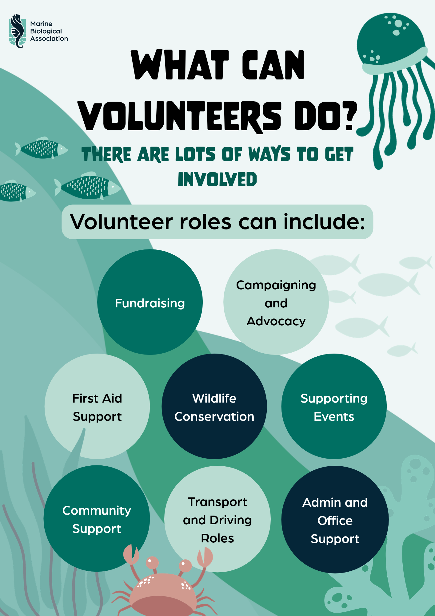 Why volunteer_ (1).png