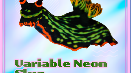 Sea Slug - Cards-8 icon.png