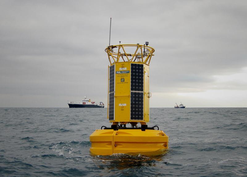 E1 buoy PENDING PERMISSION.jpg