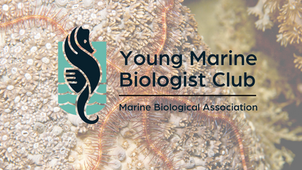 Young Marine Biologist Club 2023 (26).png