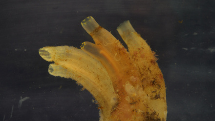P1087779_o.jpg 1