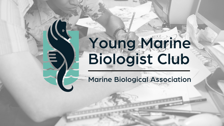 Young Marine Biologist Club 2023 (23).png