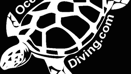 OceanTurtleDiving.jpg