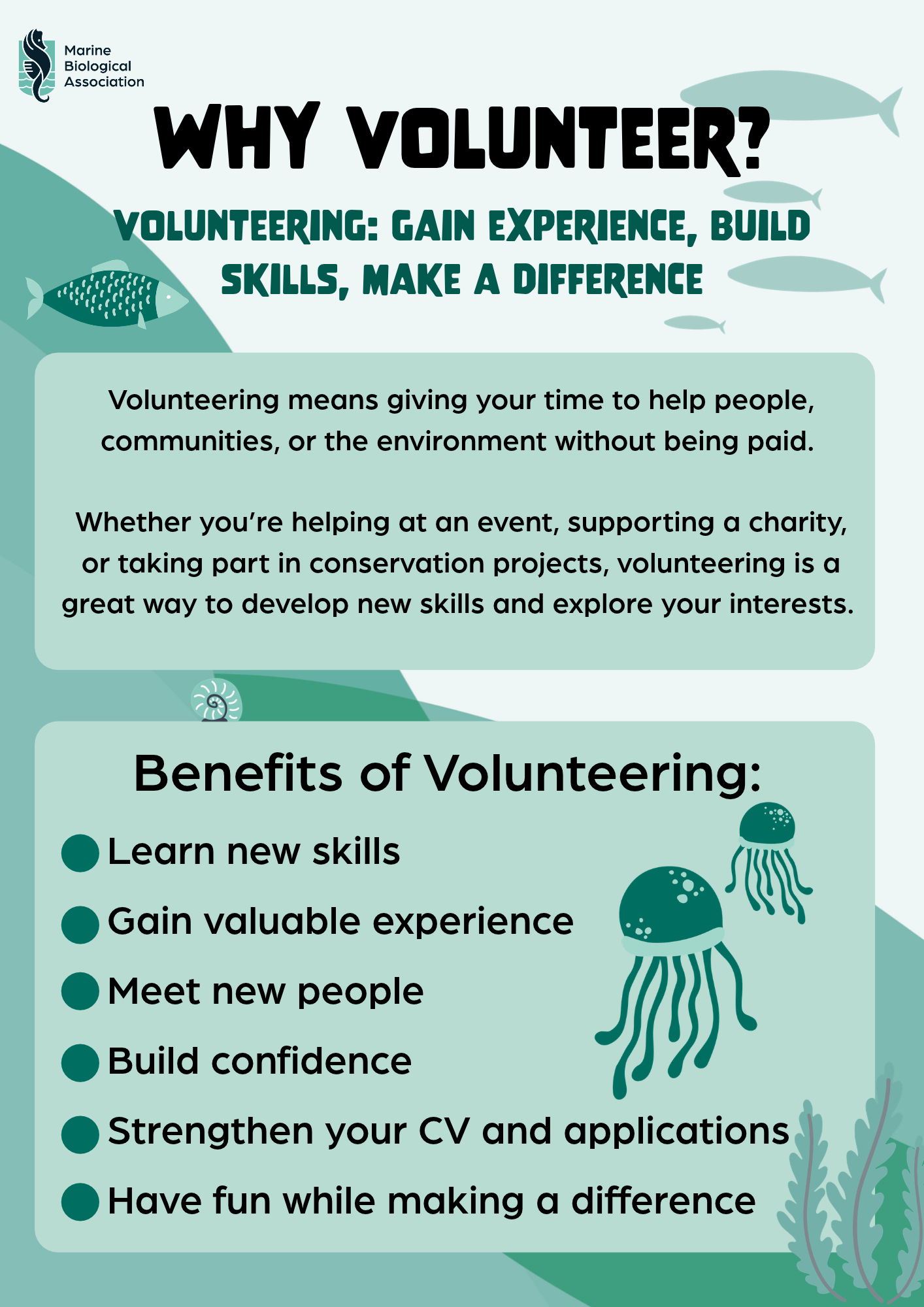 Why volunteer_.png