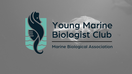 Young Marine Biologist Club 2023 (22).png