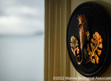 Close up of seahorse plaque at the MBA 