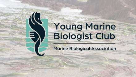 Young Marine Biologist Club 2023 (53).png