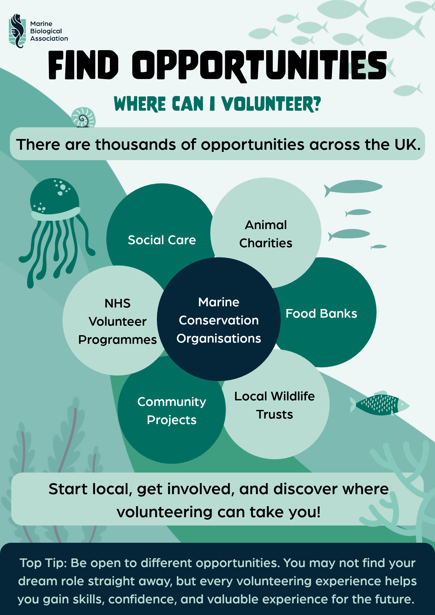 Why volunteer_ (4).png