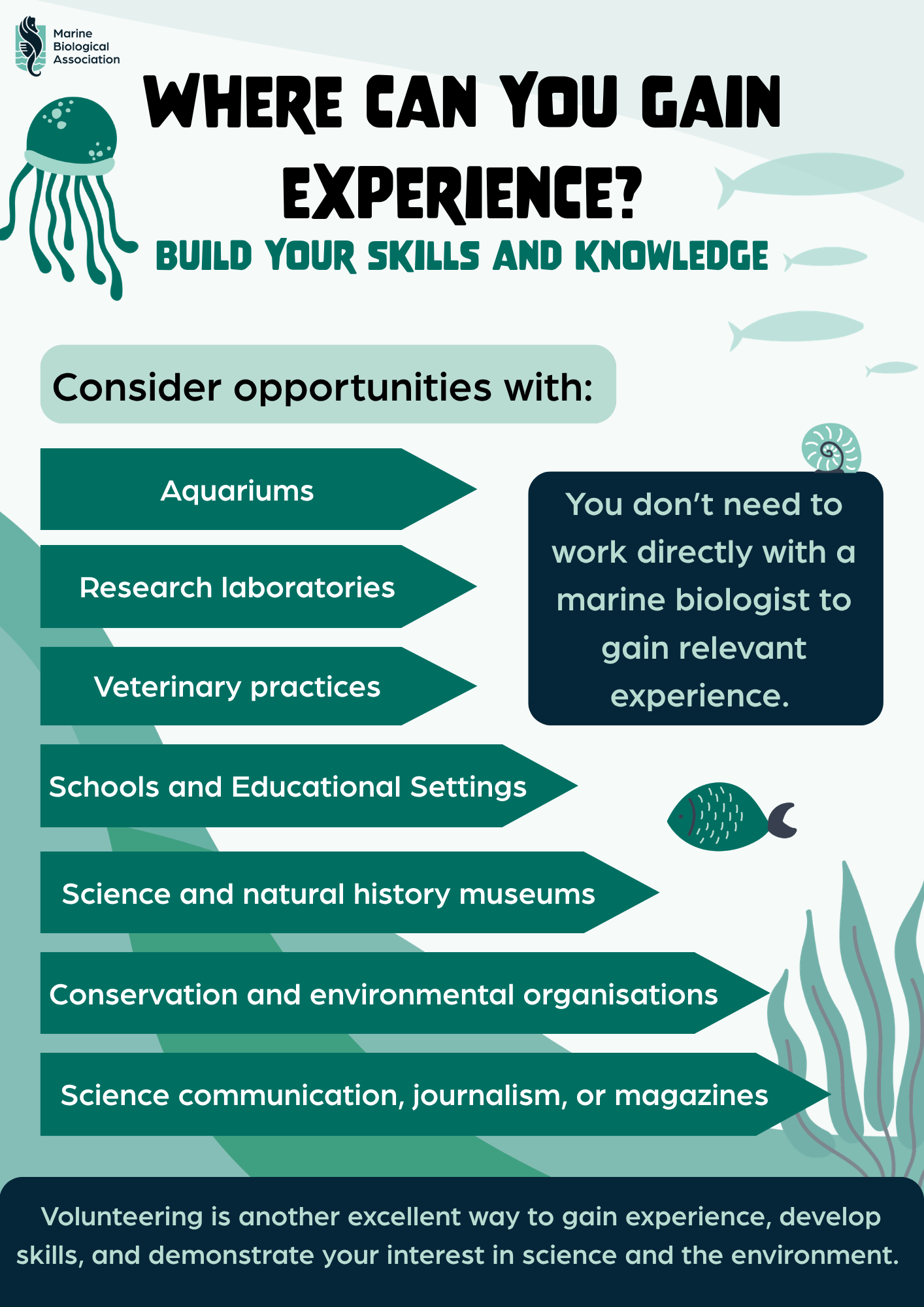 Why work experience matters (1).png