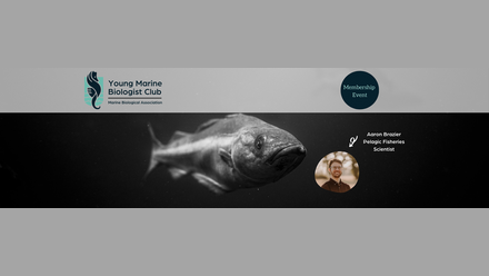 Banner Images Young Marine Biologist Club.png