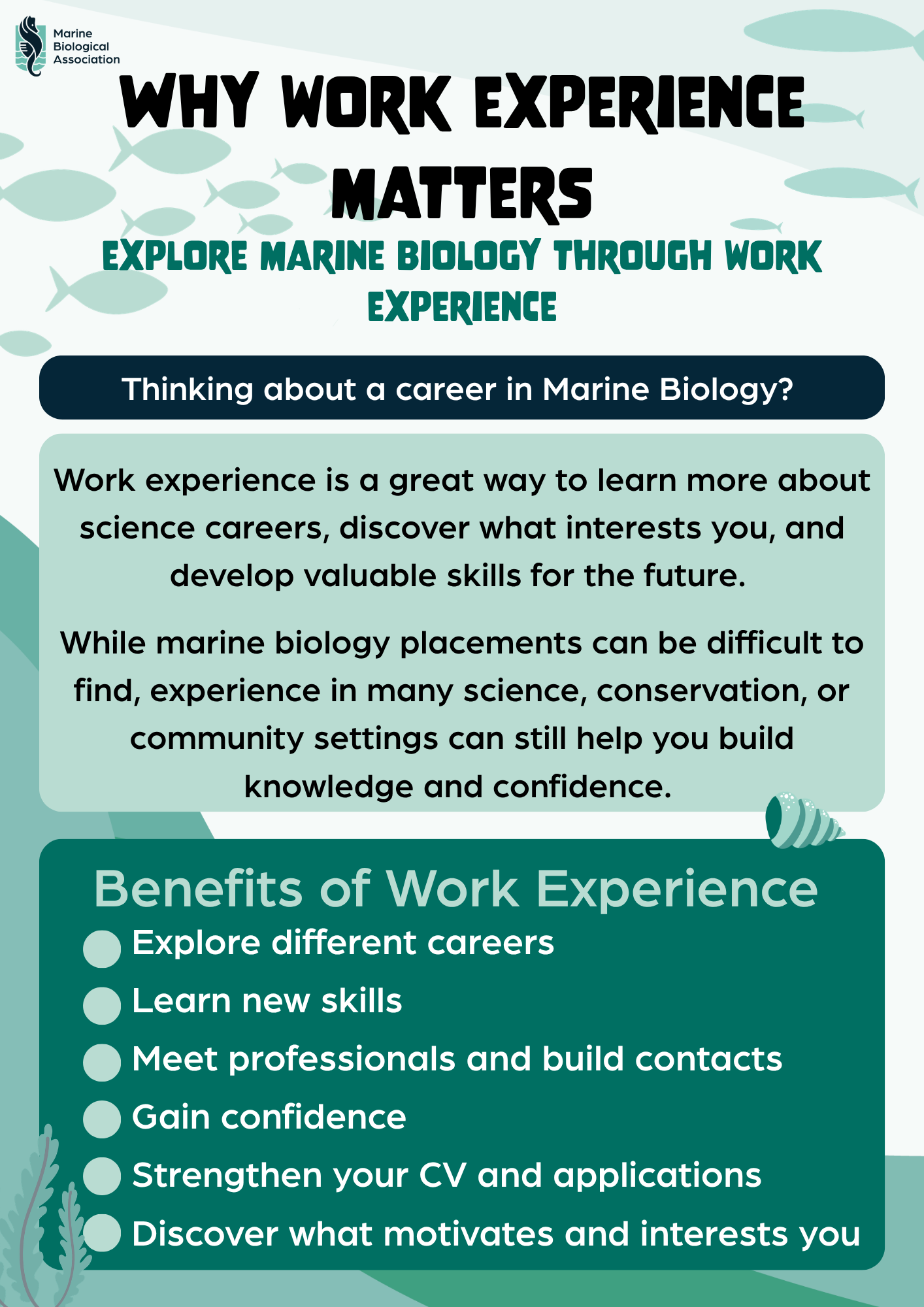 Why work experience matters (3).png
