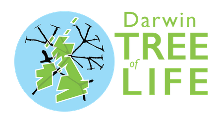 Darwin tree of life.png