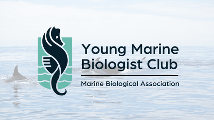 Young Marine Biologist Club 2023 (4).png