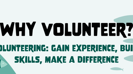 Why volunteer_icon.png