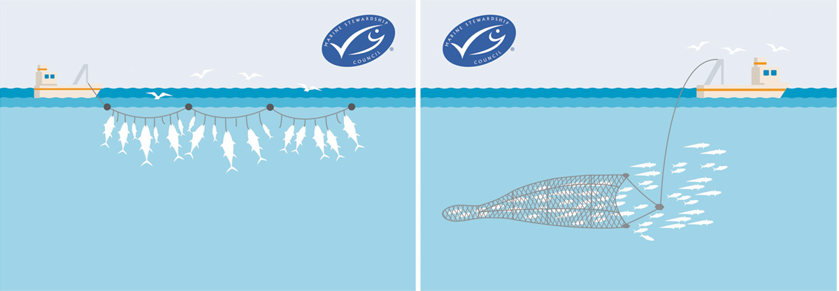 L Longline fishing vessel. R Midwater fishing trawler. Images © MSC. Copyright Steve Rocliffe for the MSC.jpg