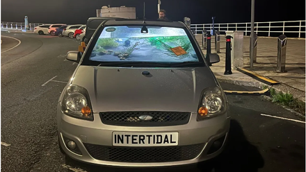 IntertidalCar
