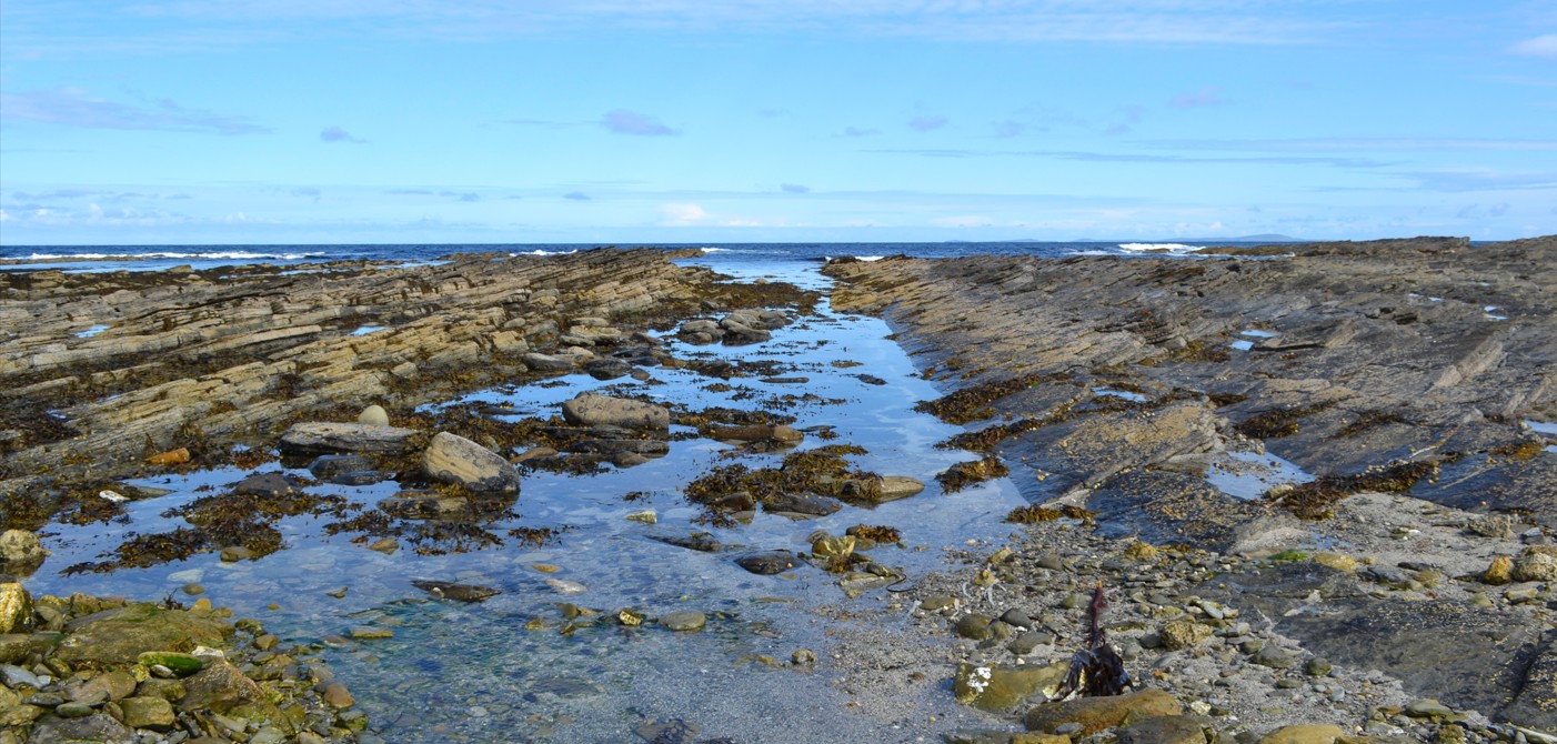 rocky shore .jpg 1