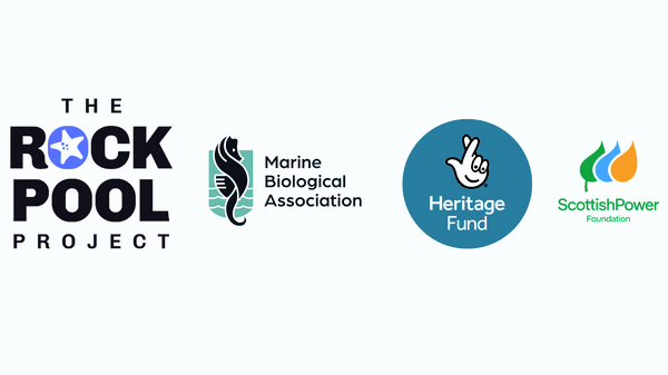 Funders logos.png