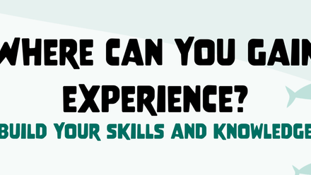 Why work experience matters_icon.png