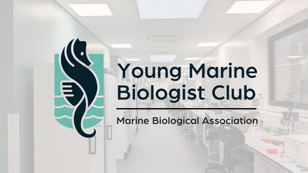 Young Marine Biologist Club 2023.png