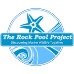 rock-pool-project-logo-250-150x150.png