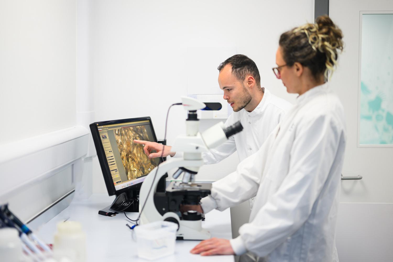 RS7722_Green gravel - kelp growth recorded on microscope camera-1310_lpr.jpg