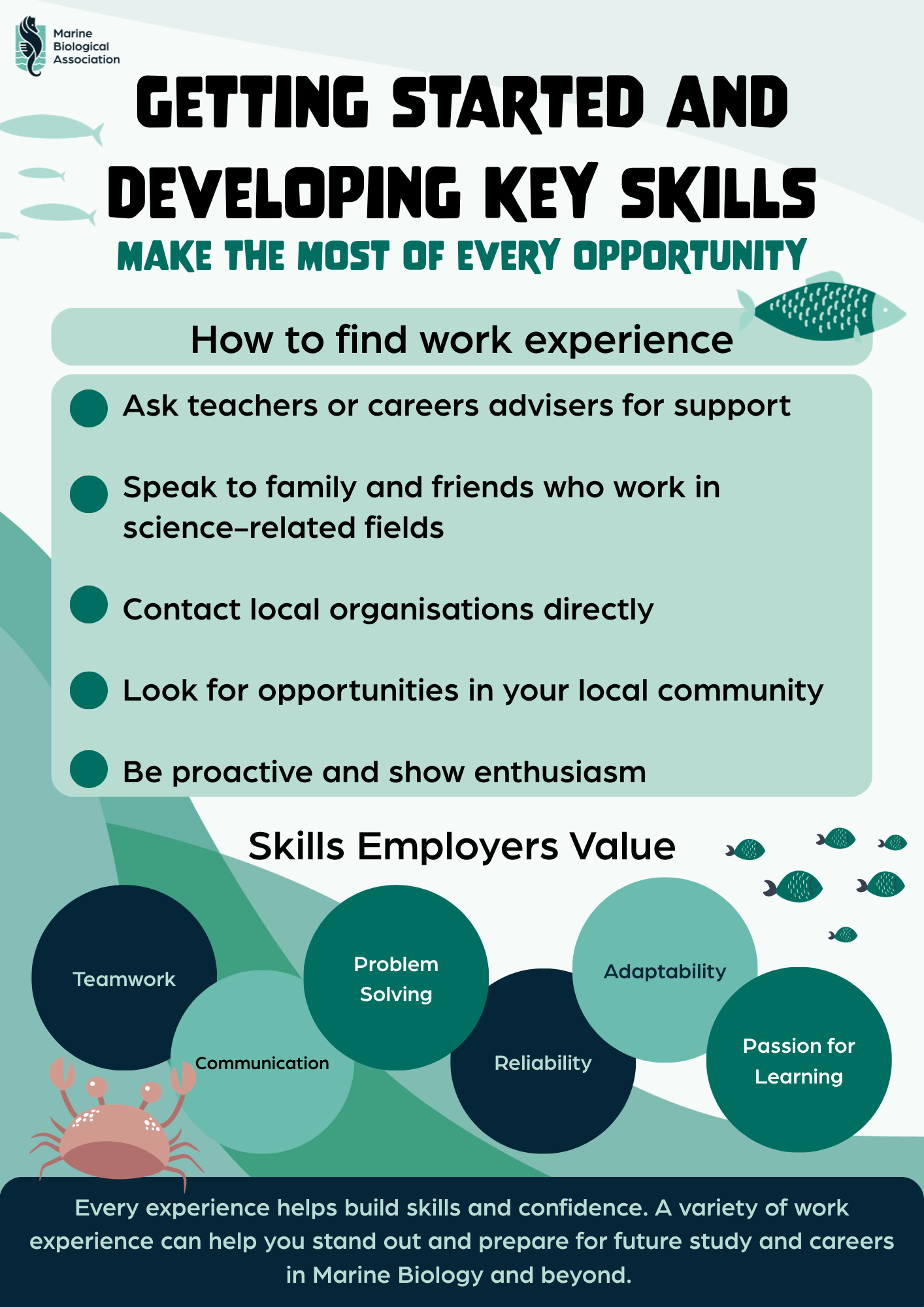 Why work experience matters (2).png