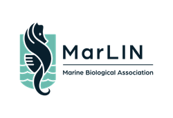 MBA_RGB_MARLIN.png 1