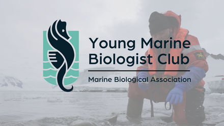 Young Marine Biologist Club 2023 (24).png