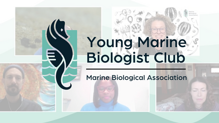 Young Marine Biologist Club 2023 (5).png