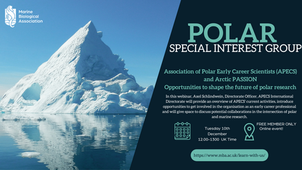 Polar SIG APECS webinar.png