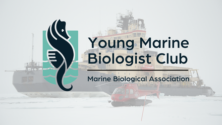 Young Marine Biologist Club 2023 (2).png 1